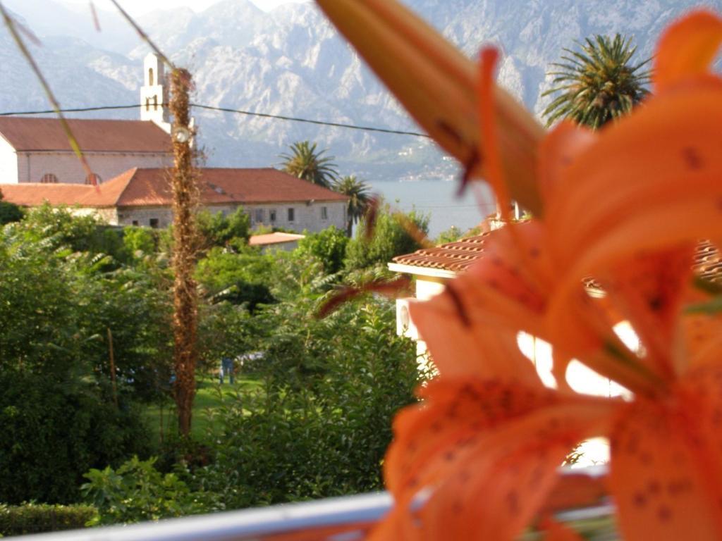 Djurovic Apartments Montenegro Kotor Pokoj fotografie